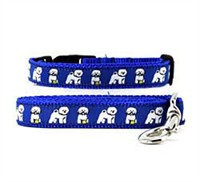 Bichon Frise Collar & Leash