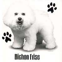Bichon Frise Shirts