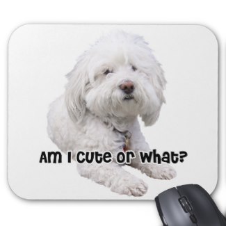 Bichon Frise Dog mousepad