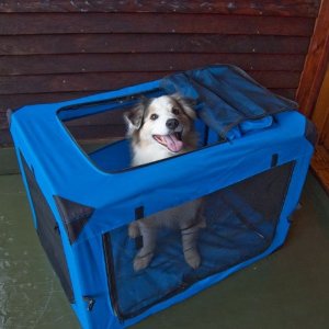  Pet Gear Generation II Deluxe Portable Soft Crate 