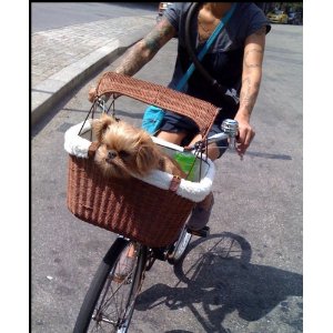 Bicycle Dog Carrier Reviews