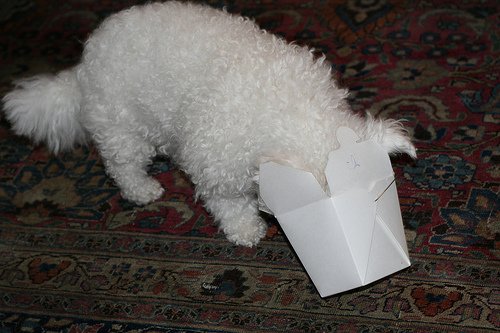 Make your own healthy dog food.