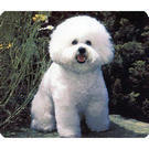 Bichon Frise Mousepad