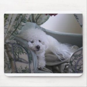 Bichon Frise mouse pad