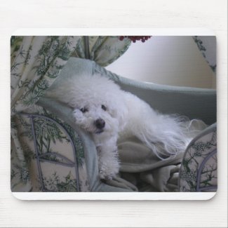 Bichon Frise mouse pad