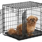 Ultima Pro dog crate with little dog