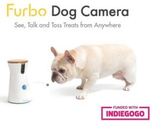 Furbo Dog Camera and pug dog