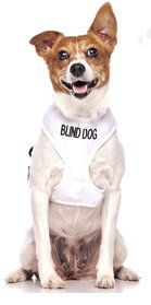 Blind dog vest, one of important blind dog accessories