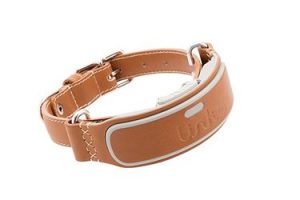 Smart dog collar with GPS