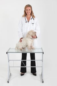 Addisons disease in dogs requires frequent veterinary visits