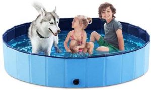 2 children and a dog in a dog pool to get cool