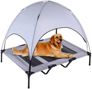 Dog on elevated bed with canopy, so that he is shaded